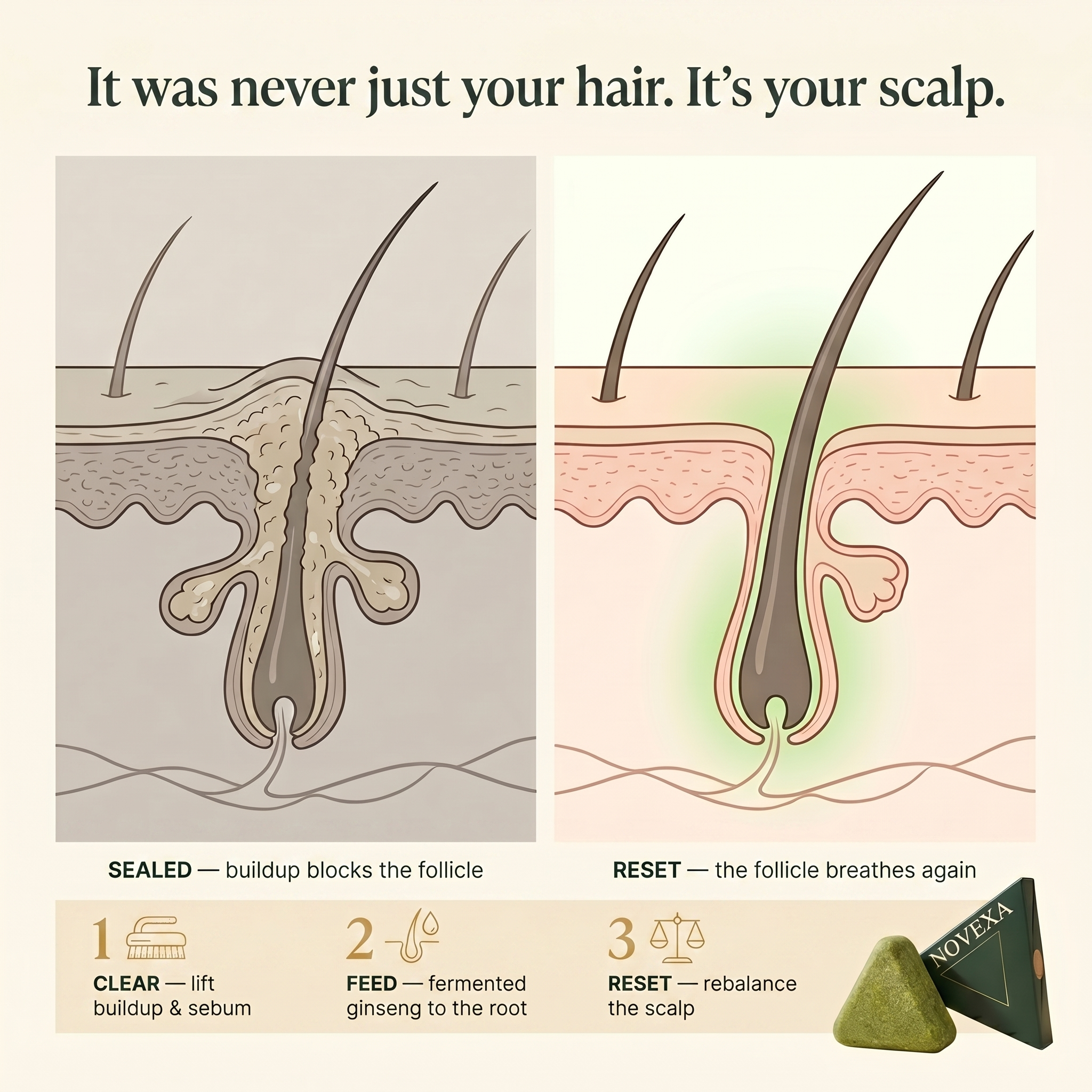 NOVEXA Korean Ginseng Scalp Reset Bar