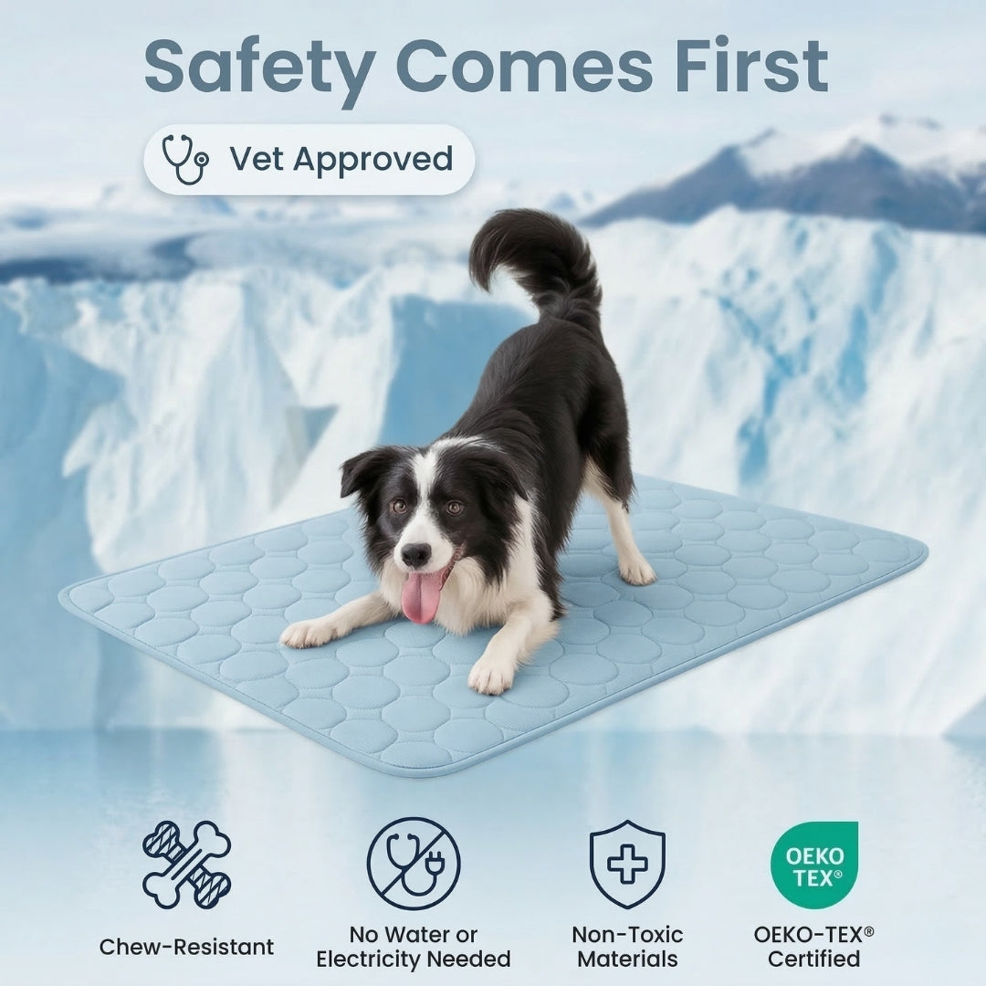 🐶🐈Pet Cooling Mat - Keep Your Pet Cool Even on the Hottest Days