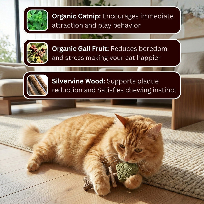 LBMLBM™ Catnip & Silvervine Chew