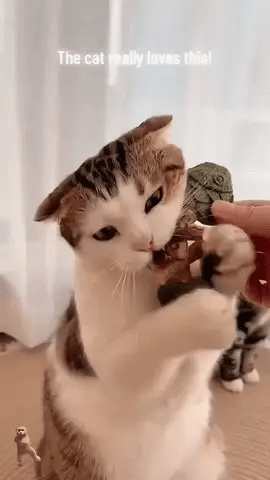 LBMLBM™ Catnip & Silvervine Chew - The Natural Chew Toy Cats Can't Resist