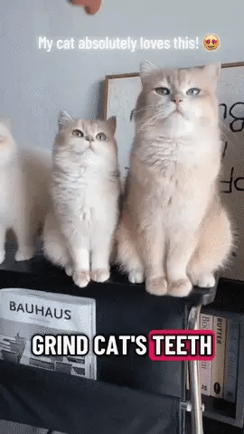 LBMLBM™ Catnip & Silvervine Chew - The Natural Chew Toy Cats Can't Resist